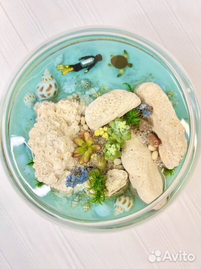 Флорариум, Моссариум Подарок