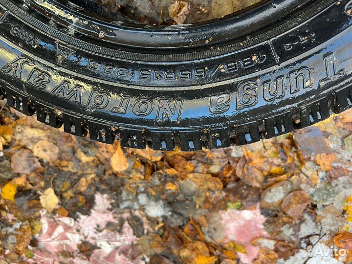 Tunga nordway 185/65/15