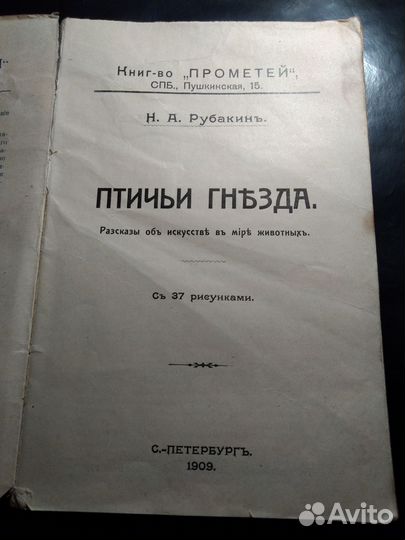 Рубакин Птичьи гнезда 1909