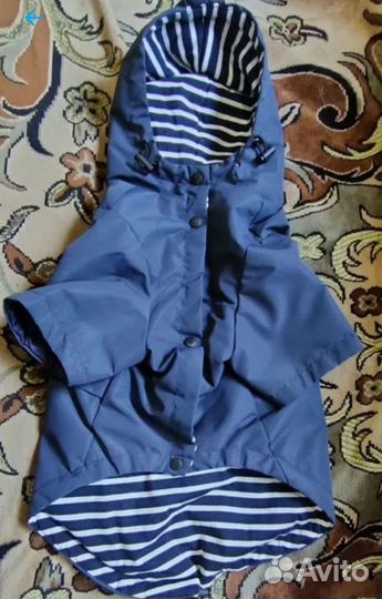 Одежда для средних собак