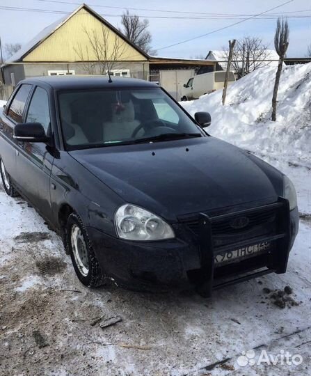 Кингурятник