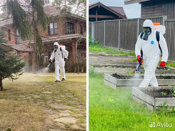 Обработка участка от клещей, дезинфекция