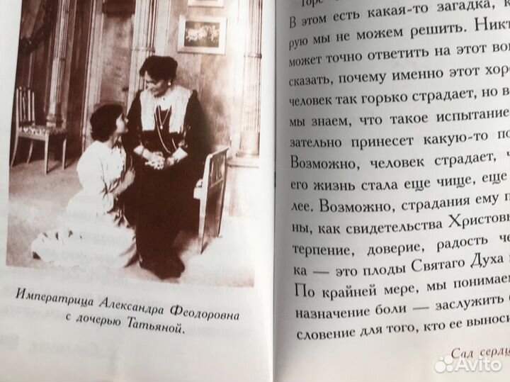 Книга Дарите любовь