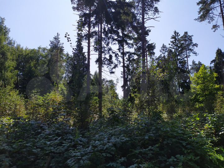 Участок 17 сот. (ИЖС)