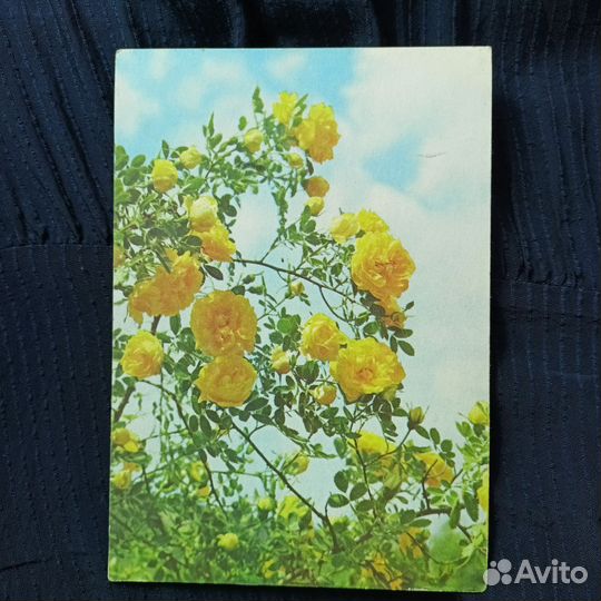Открытки почтовые СССР цветы