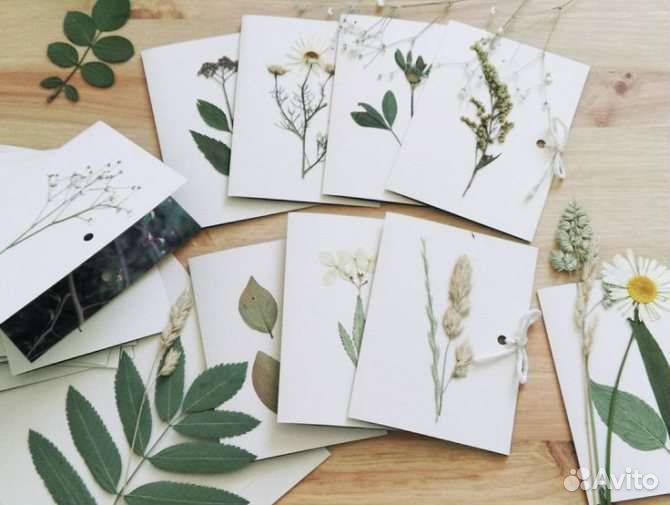 Гербарий для начальной школы