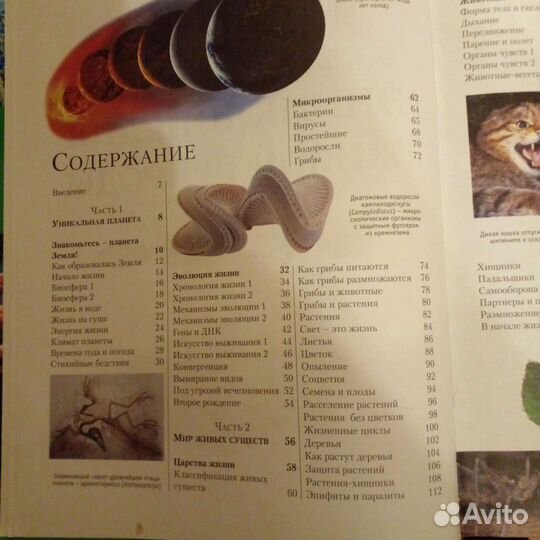 Энциклопедия живой природы