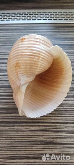 Декорации для аквариума