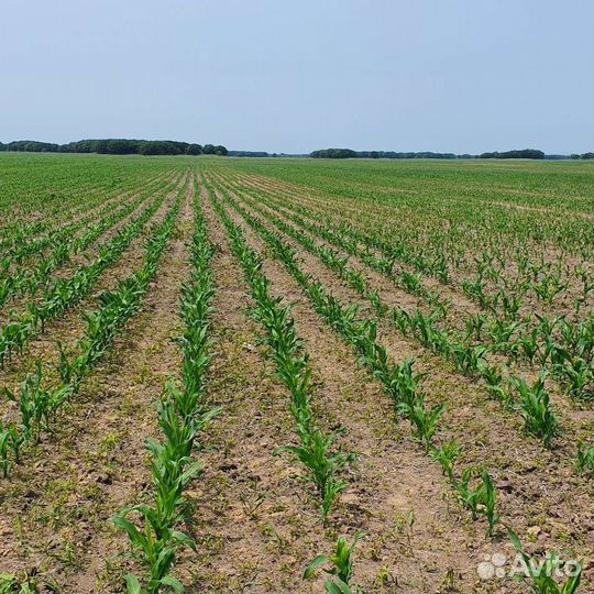 Тракторист комбайнер механизатор водитель га