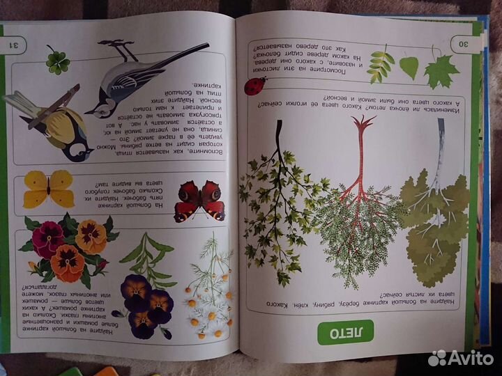 Лот Изучение времен года