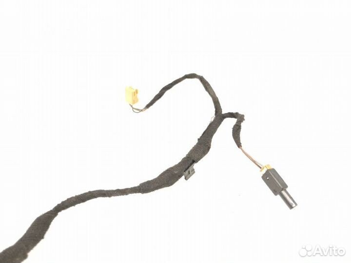 Проводка двери задняя левая Audi Q5 8R 2009