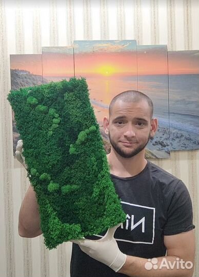 Вечно зеленый мох на подложке 25х50см