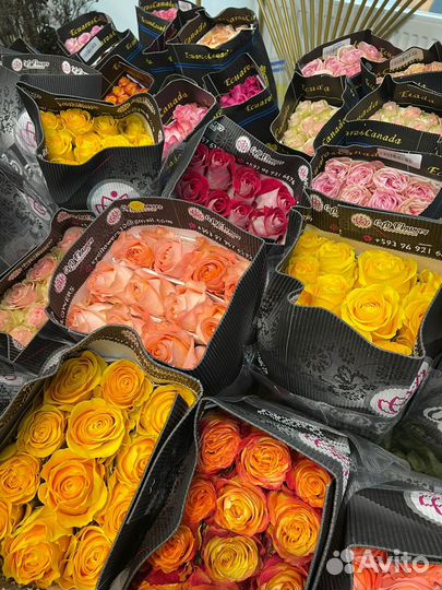 Розы оптом, Розы цветы Доставка