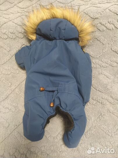 Одежда для маленькой собачки