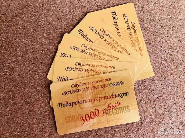 Студия звукозаписи. Запись вокала