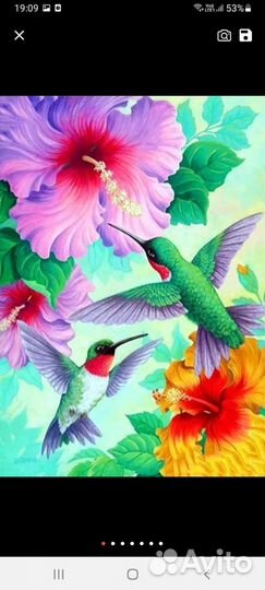 Алмазная мозаика Птицы, 20/30