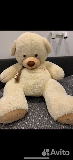 Плюшевый медведь