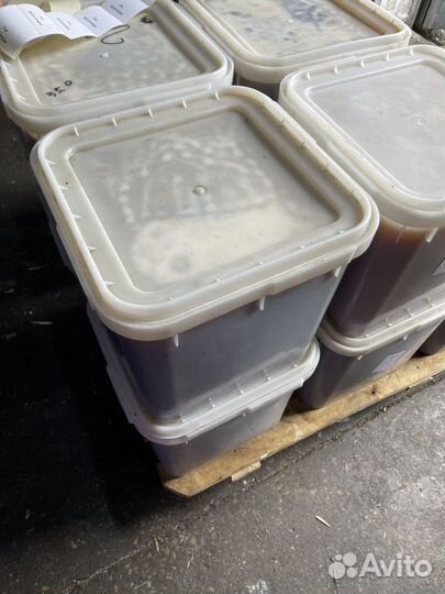 Эспарцетовый мёд оптом свежая качка