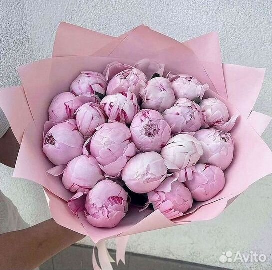 Пионы Розы Доставка