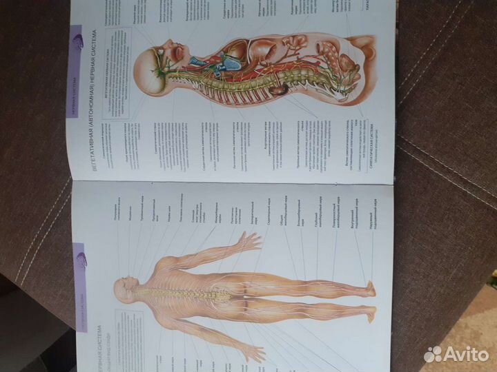 Книги (много)