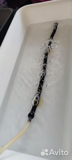 Гидропоника, Луковое Счастье