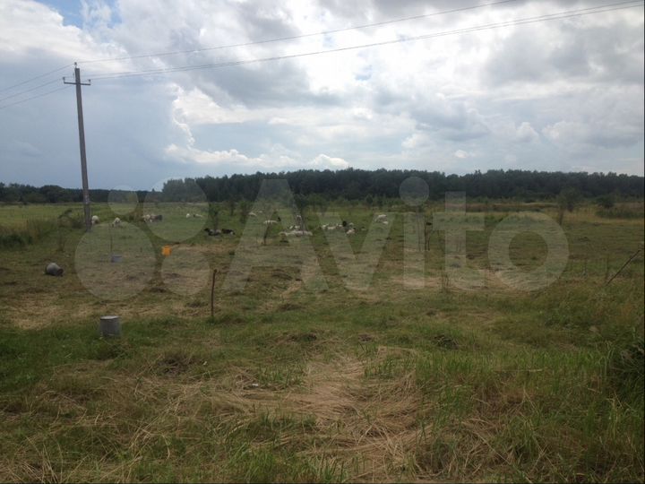 Дом 58 м² на участке 50 сот.