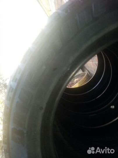 Bridgestone Blizzak Revo GZ 20.5/55 R16