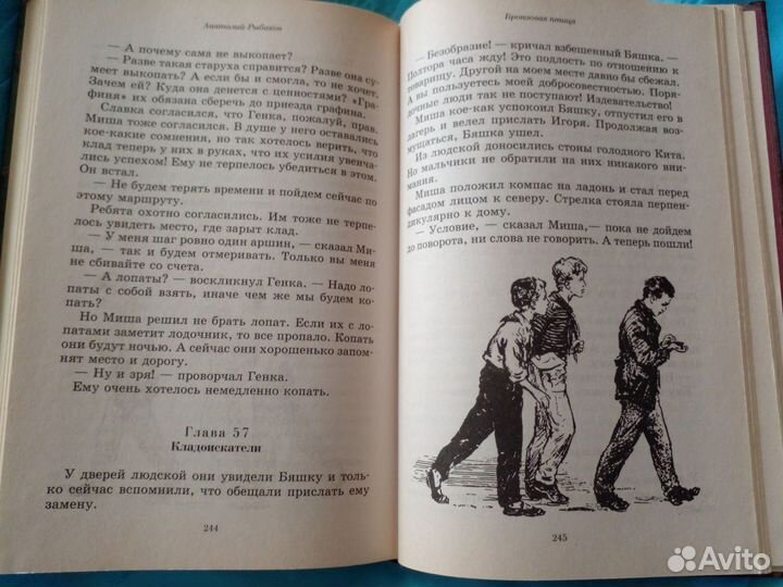 Книга Бронзовая птица