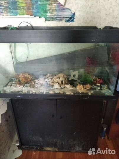 Аквариум 250 литров
