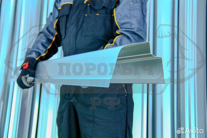 Порог Geely Vision