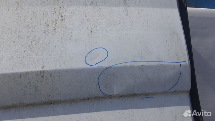 Дверь распашная Ford Transit (2014-2020)