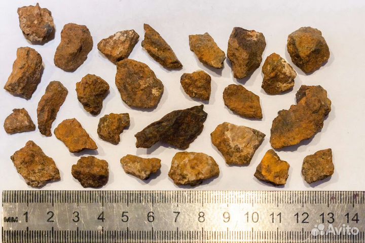 Фрагменты метеорита Царев