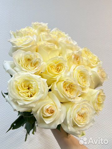 Цветы:Розы Пионовидные