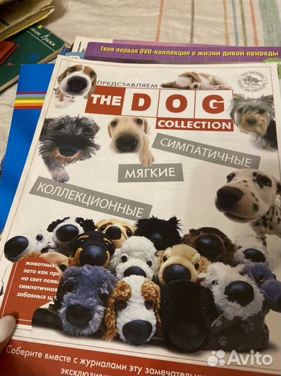 Журналы детские непоседа барби раскраски