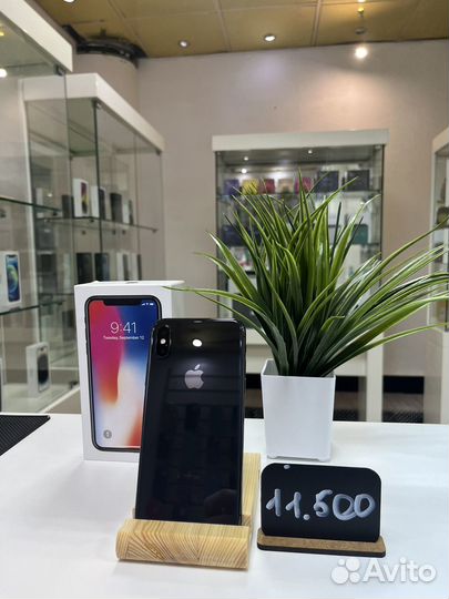 iPhone X, 256 ГБ