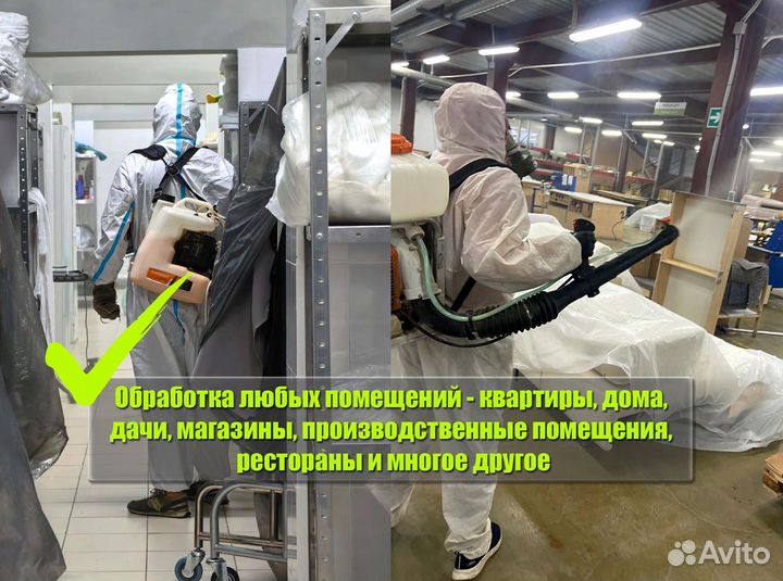 Уничтожение клопов, тараканов, клещей, ос, комаров