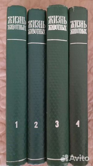 Энциклопедия 