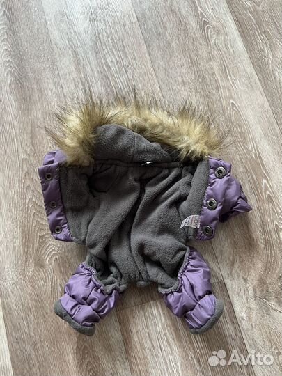 Комбинезон для маленькой собаки