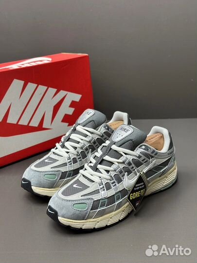 Кроссовки мужские демисезонные Nike p-6000
