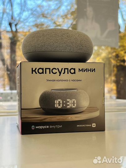 VK с голосовым помощником Марусей, серая (MRC02GY)