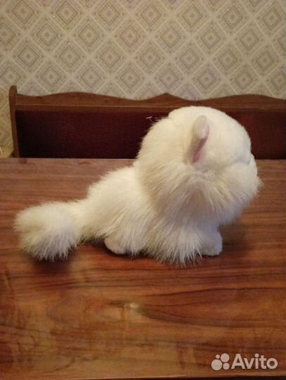 Мягкая игрушка Белый персидский котик