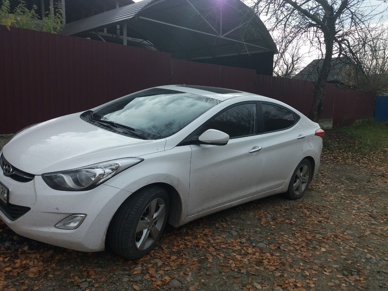 Hyundai Avante: фото владельца