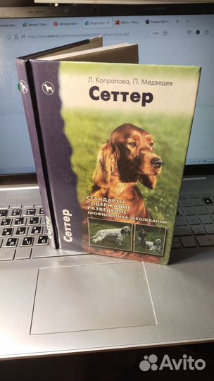 Капралова Л. Медведев П. Сеттер 61