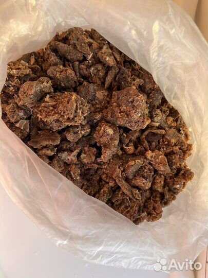 Прополис пчелиный