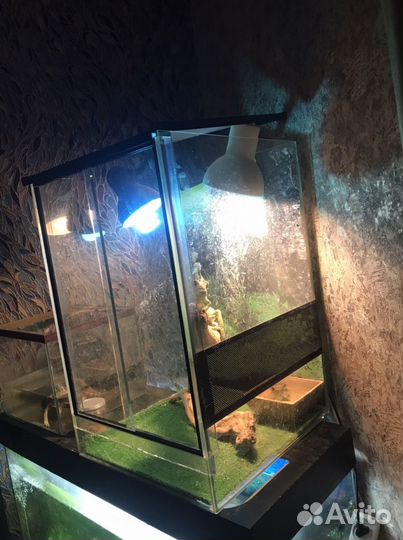 Террариум для рептилий бу