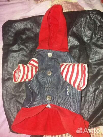 Одежда для йорка