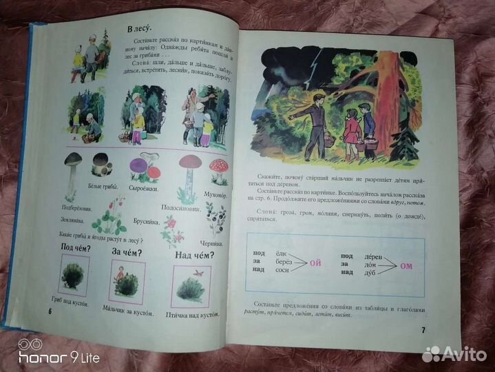 Русский язык в картинках