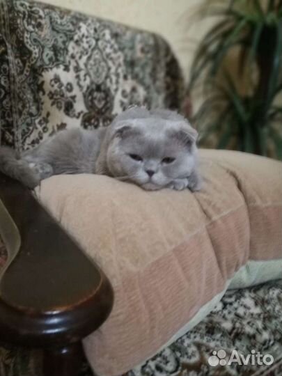 Вязка