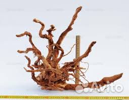 Коряги. Корни азалии. Виноградная лоза