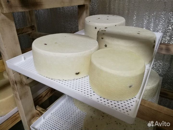 Формы для сыров и полуфабрикатов